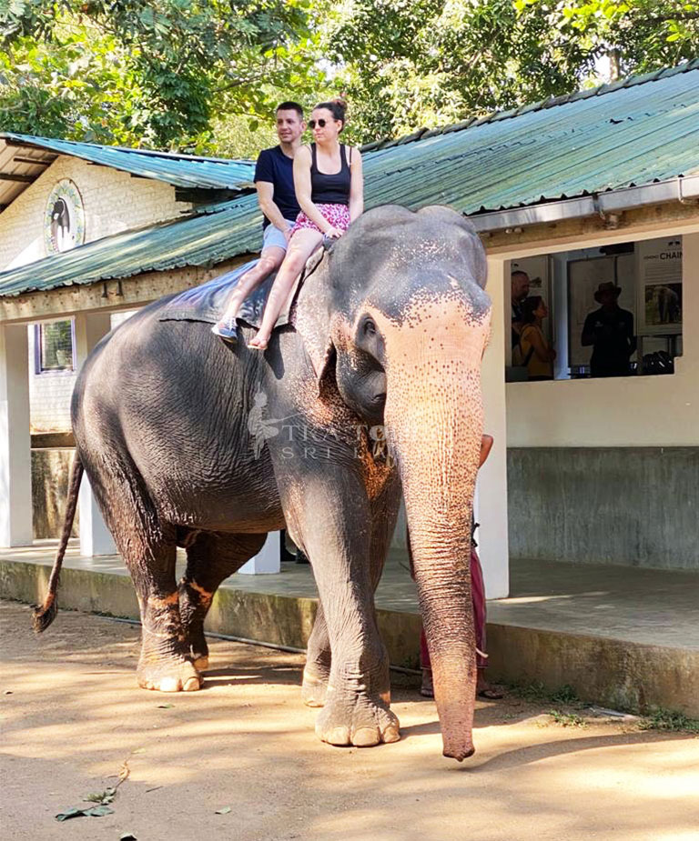 tka-lanka-tours-003-elephant-rides-srilanka