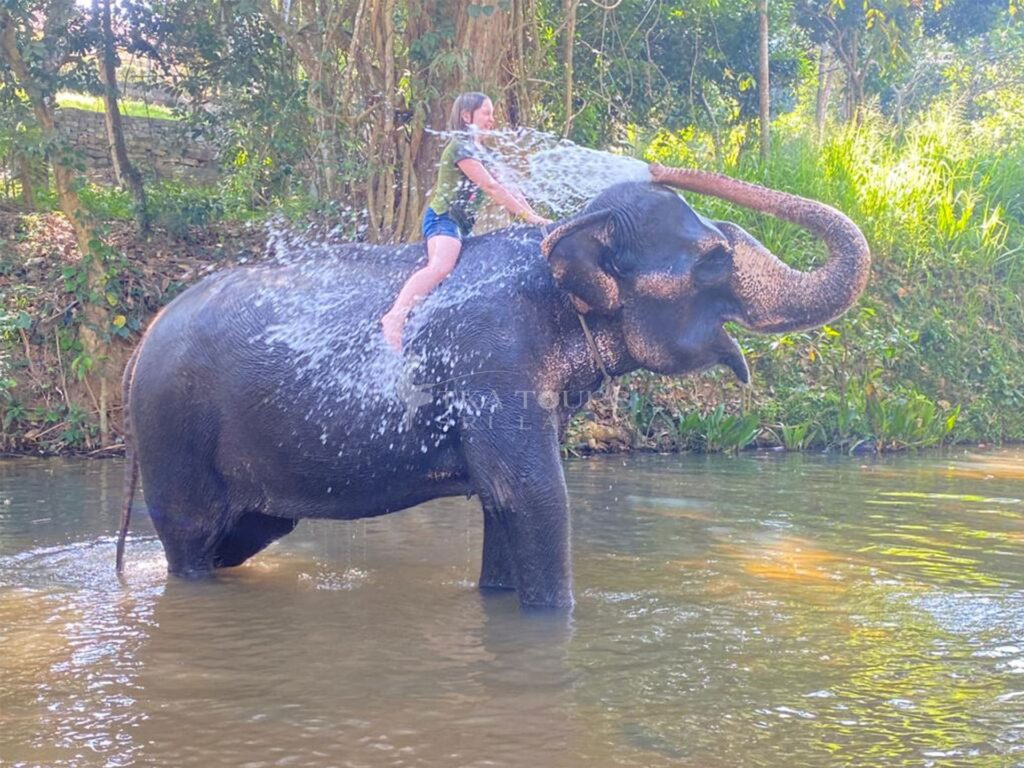 tka-lanka-tours-005-elephant-rides-srilanka
